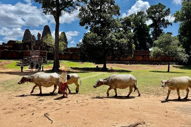 Full-Day 'Big Tour' with Sunset at Phnom Bakheng - Neak Pean changes stone ruins for water and reflection