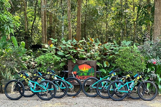 Full-Day Bike Tour in Siem Reap with Zipline - The Victory Gate and Bayon from a different angle