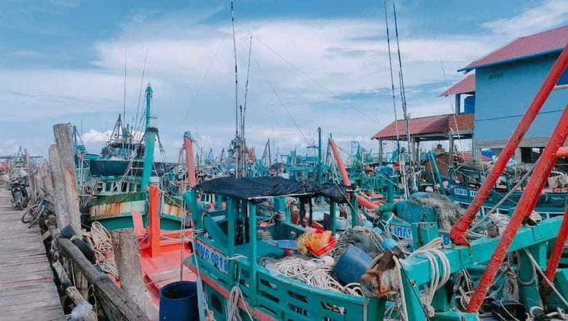 Full Day City Tour with A Boat Trip to 2 Islands - Group Size, Guide Quality, and the Private-Tour Question