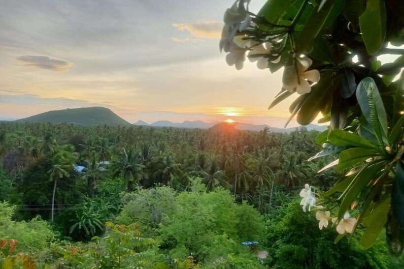 Full-day: Original bamboo train, Wat Banan, Phnom Sampov - Sunset at the Bat Cave
