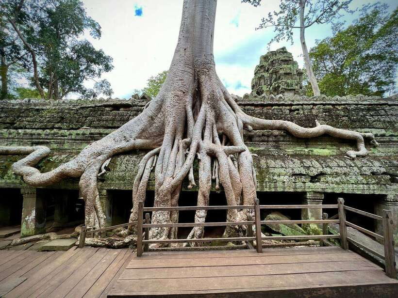 Full Day Private of Angkor Wat Tour with Tuk Tuk - The Terrace of the Elephants