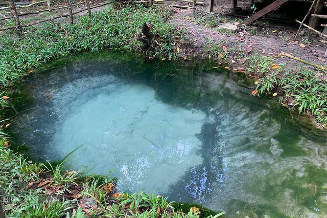 Full-Day Private Tour Phnom Kulen and Waterfalls - Guide Nary, driver Kosal, and the private setup
