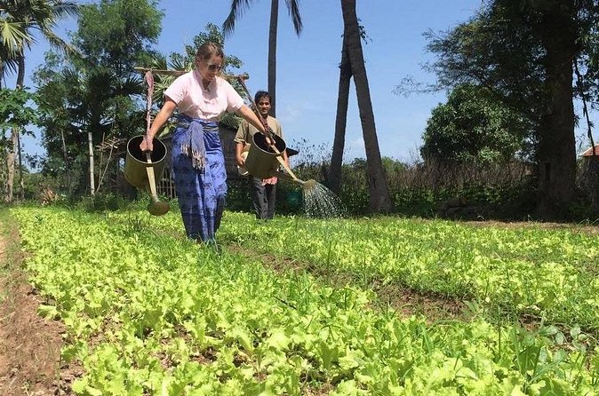 Full Day Siem Reap Farm Tour with Cooking Class and Monk Blessing - Why the small group size matters