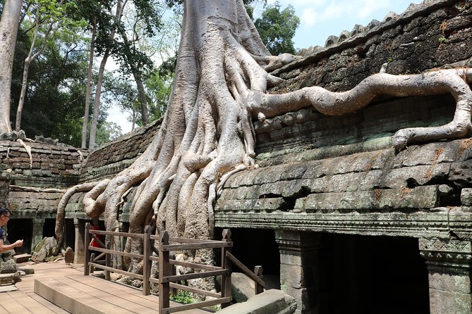 Full Day Temples Explorer - Small Group - Guide quality makes the difference