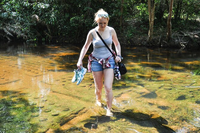 Full Day to Banteay Srei, Kulen National Park and Beng Mealea - The road down through Kulen’s countryside