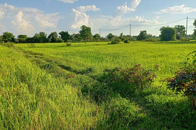 Full Day tour .City tour.Countryside.Bamboo Train.Secret Bat Cave - French architecture and Battambang’s city center