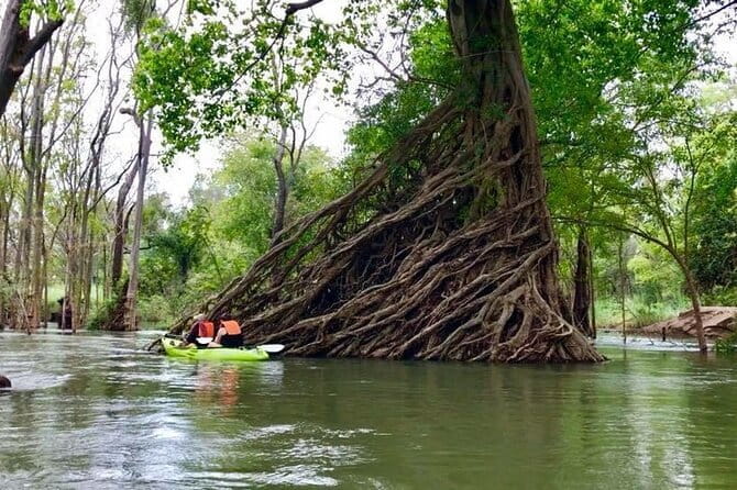 Full Day Tour from Siem Reap - Bamboo Train, Killing Cave & Sunset - Phnom Sampeau and the weight of the Killing Cave
