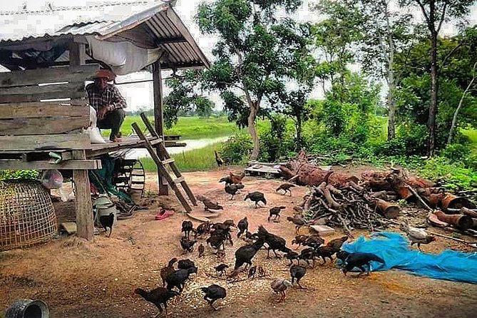 Full-day: Wat Banan. Old bamboo train. Bat Cave. Killing cave - The guides are a major part of the value