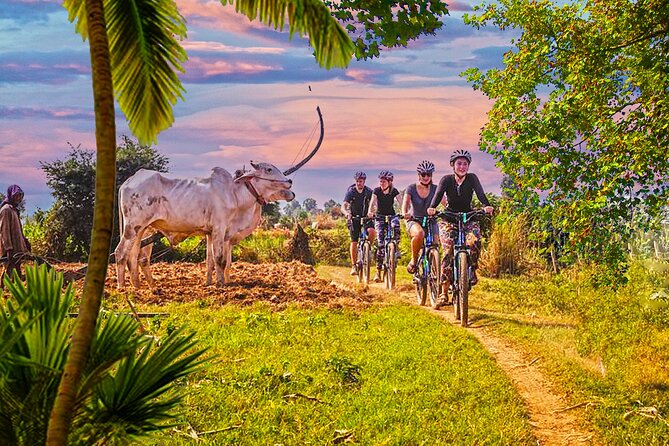 Grand Tour-Ek Phnom. Baset. Bamboo Train. Wat Banan. Phnom Sampov - Baset Temple and the road through the rice fields