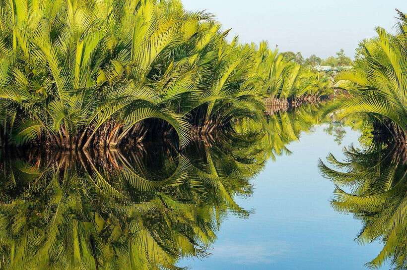Green Cathedral Kayaking Journey & Reflection River View - Practical Tips Before You Go