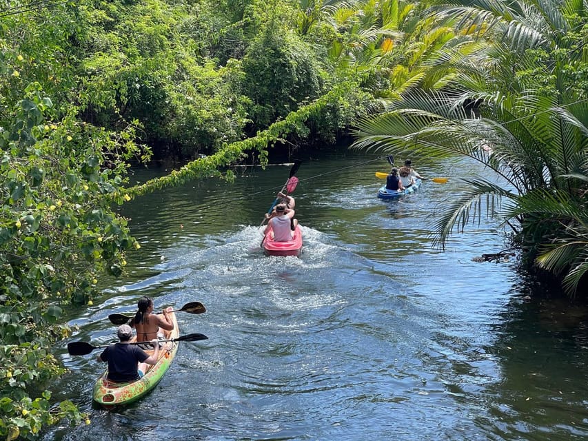 Green Cathedral Kayaking Journey & Reflection River View - Swimming, Hammocks, and Time to Stop