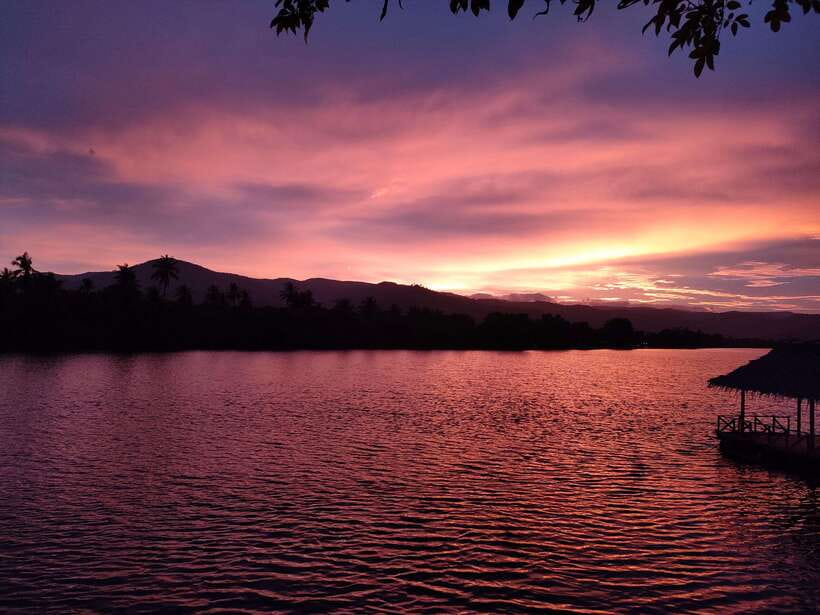 Green Cathedral Kayaking Journey & Reflection River View - What $28 Per Person Really Buys