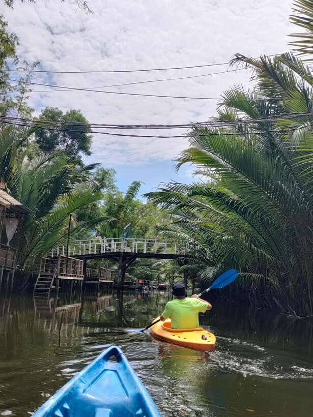 Green Cathedral Kayaking Journey & Reflection River View - Who Will Enjoy This River Trip Most