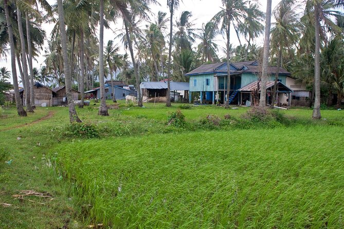 Half-Day Adventure to the Pepper Farm by Scooter - Secret Lake and its difficult past