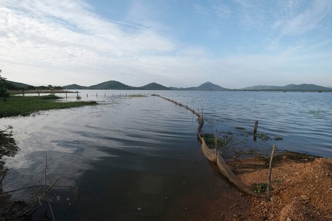 Half-Day Adventure to the Pepper Farm by Scooter - BoTree Farm and the taste of Kampot pepper