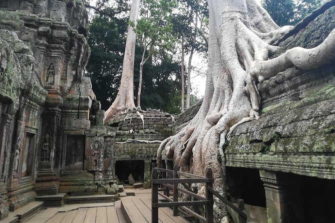 Half Day Angkor Wat Sunrise Private Tour - Angkor Wat at sunrise, from 4:30 am onward
