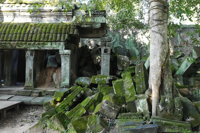 Half Day Angkor Wat Sunrise Private Tour - Ta Prohm and the trees that changed its image