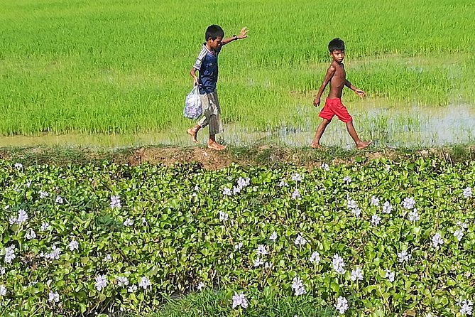 Half Day Floating Village ( Mechrey) & Tole Sap Tour - What is included, and what you pay extra for