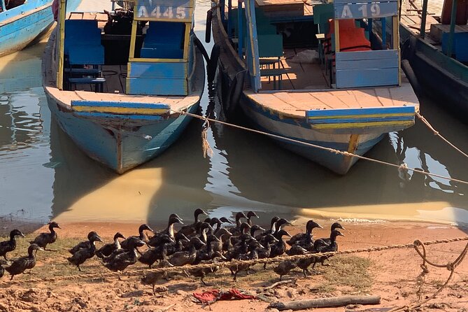 Half Day Floating Village ( Mechrey) & Tole Sap Tour - How the experience feels for different kinds of visitors