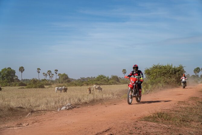 Half Day Siem Reap Off-Road Ride Tour - Who should book this ride?
