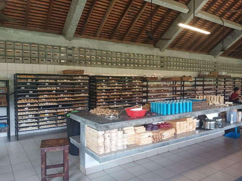 Half Day Trip: Silk Farm, Satcha, and Senteur d'Angkor Tour - Is $25 Good Value?