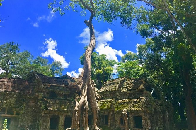 Highlight of Angkor Complex 2 Days Private Tour - Day two shifts toward detailed carving and the Grand Circuit