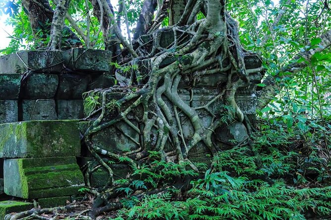 Homestay Kampong Khleang Villages - Food, guiding, and the human side of the tour