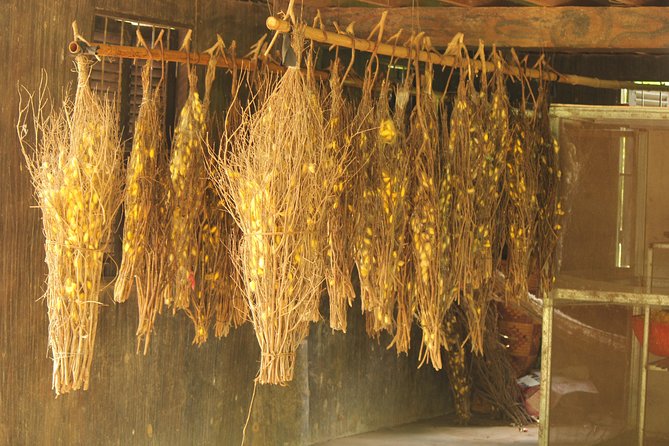Island Community Life in Phnom Penh - Why the private format matters