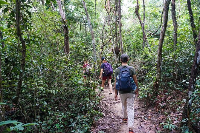 Jungle Trekking Tour at Phnom Kulen National Park from Siem Reap - Why Phnom Kulen makes a good break from Siem Reap