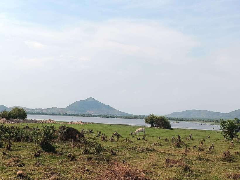 Kampot Countryside include Pepper farm,Kep crab market beach - Who will enjoy this tour most
