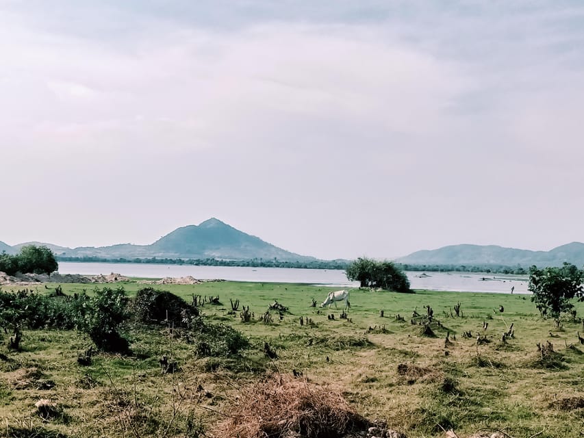 Kampot Countryside include Pepper farm, Salt field & Lake - Morning or afternoon: which departure should you choose?
