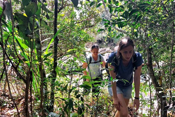 Kampot Day Tour "Bokor National Park" - What the $29 price really covers