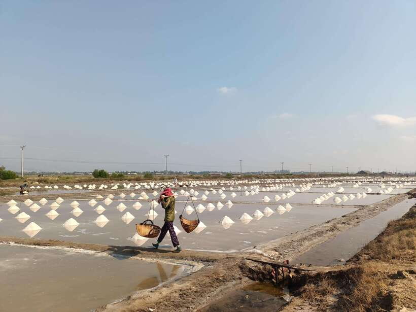 Kampot: Full-day Countryside Tour with Pepper Farm and Kep - Two hours at La Plantation pepper farm