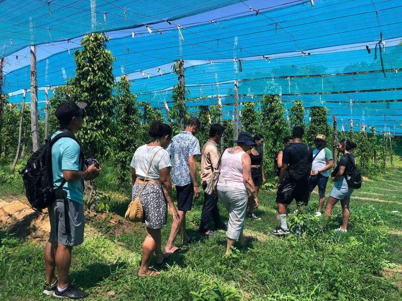 Kampot Pepper Farm, Salt Fields, Crab Market from Phnom Penh - Why this Phnom Penh day trip works