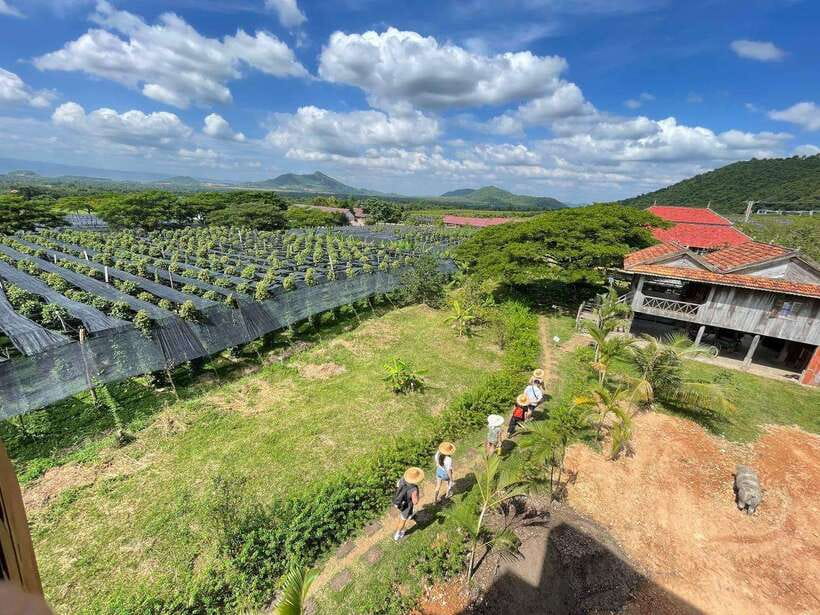 Kampot Pepper Farm, Salt Fields, Crab Market from Phnom Penh - Kep Beach Crab Market and lunch