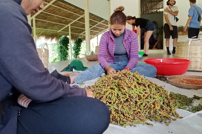 KAMPOT- Pepper farm ..salt fields.Kep/Crab market & more........ - A full day through Kampot’s countryside
