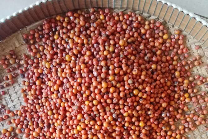 KAMPOT- Pepper farm ..salt fields.Kep/Crab market & more........ - La Plantation and the taste of Kampot pepper