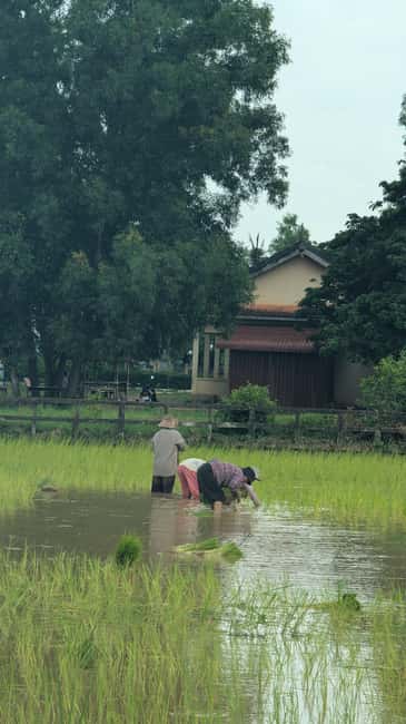 Kampot Pepper & Kep/Crab Market Tours: Salt, Secret lake - How good is the value at $23?
