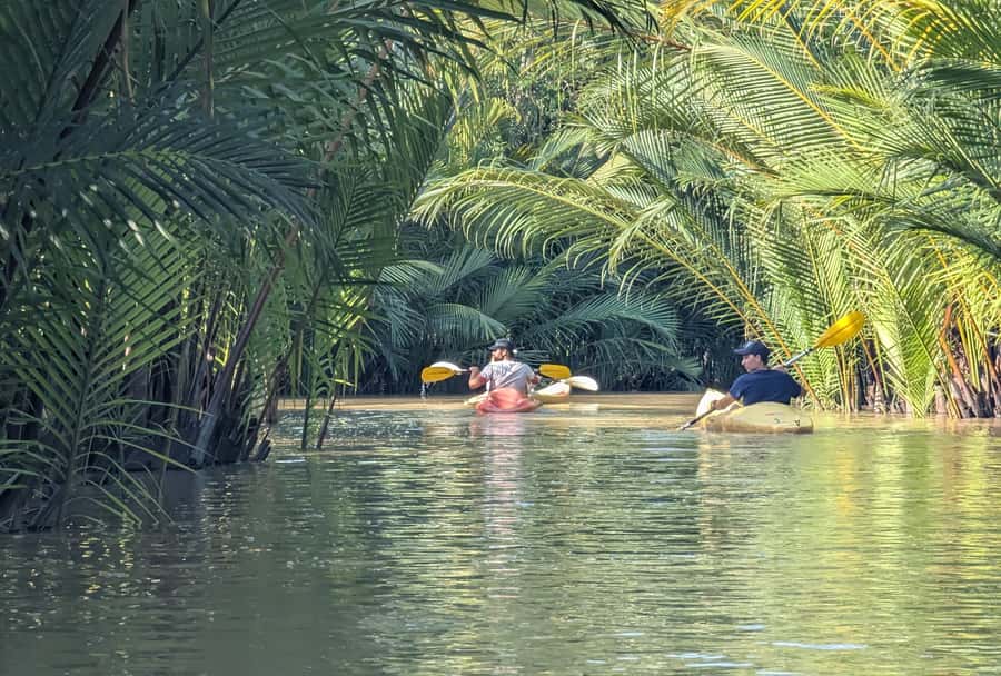 Kampot's Countryside & Kayak Tour, Pepper Farm include Lunch - Kampot pepper at the plantation
