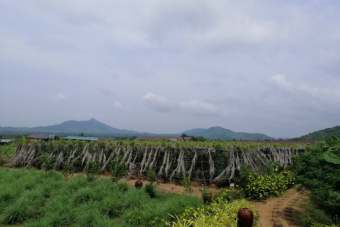 Kampot Tour Pepper Plantation, Salt Field, Cave, Secret Lake - Leaving Kampot by tuk-tuk