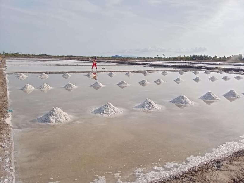 Kampot: Tuk Tuk Trip to Pepper Farm, Kep, Crab Market & More - Brateak Krola and the Secret Lake