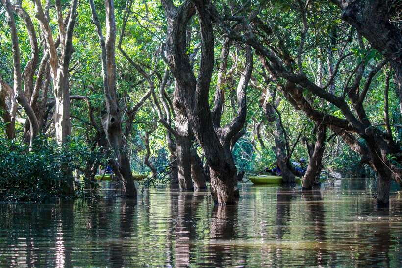 Kayaking & Floating Village in Siem Reap - Returning by boat and air-conditioned vehicle