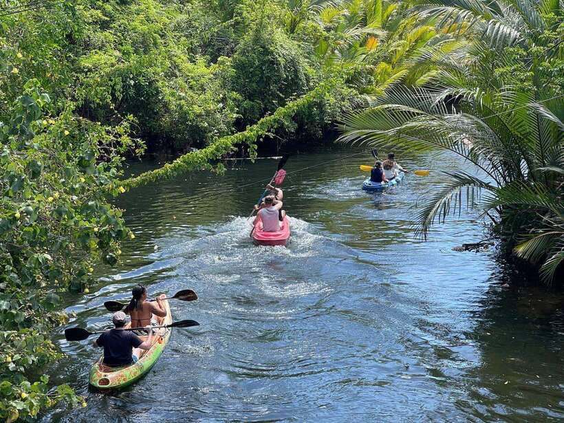 Kayaking tour around green cathedral - Paddling beneath the nipa palms