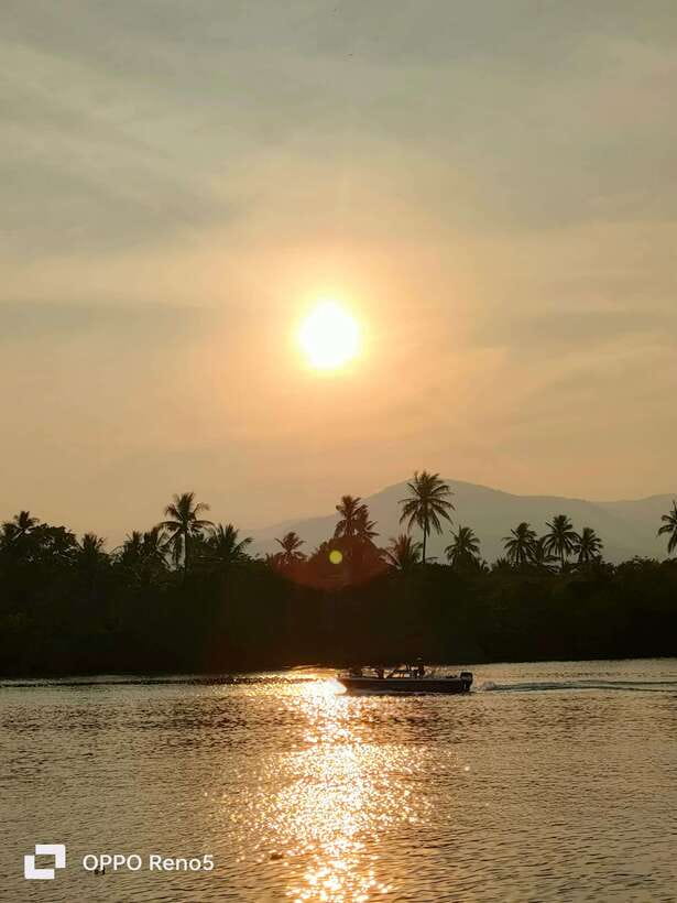 Kayaking tour around green cathedral - A peaceful swim and time to slow down