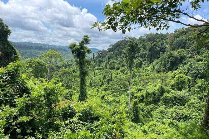 Kbal Spean Lingar River, Banteay Srei Temple & Pre Rup Tour - Kbal Spean: a forest walk to sacred water