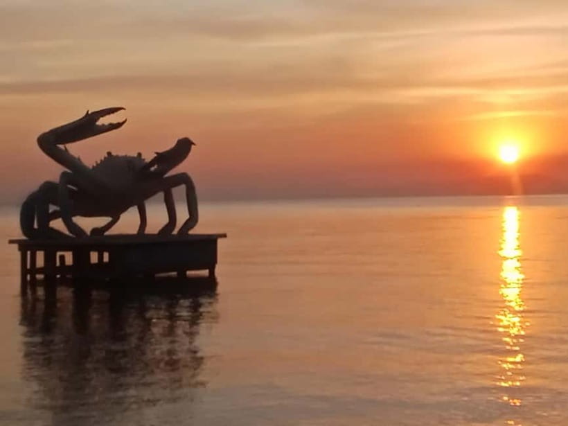 Kep: Discover kampot pepper farm/lake & Salt fields...more - Who should book this experience?