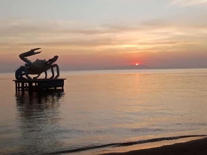 Kep: Discover kampot pepper farm/lake & Salt fields...more - Salt fields at the best hour