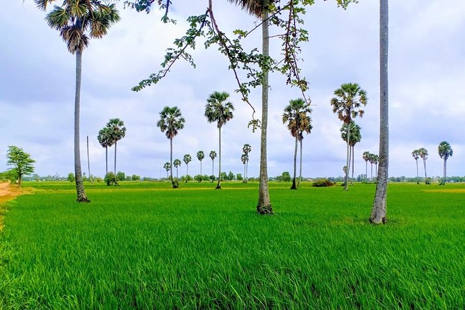 Killing Field & Paddy Rice Fields Tuk Tuk Adventure - Why this day is different from a standard Phnom Penh tour