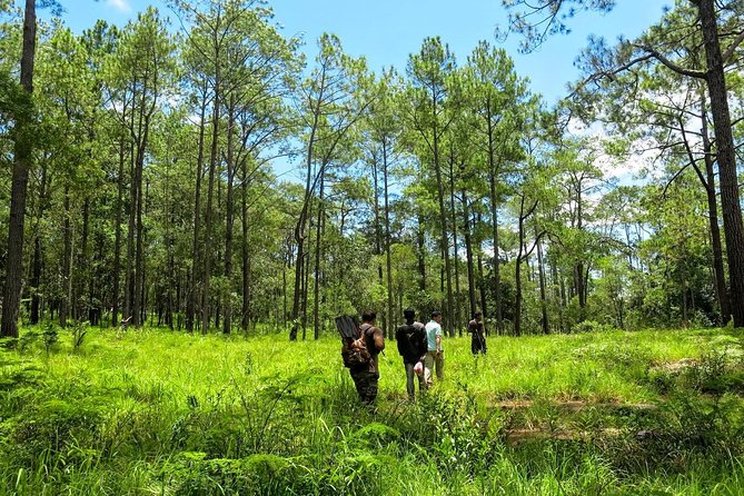 Kirirom National Park Private Day Tour from Phnom Penh - Why Kirirom Makes a Good Day Trip