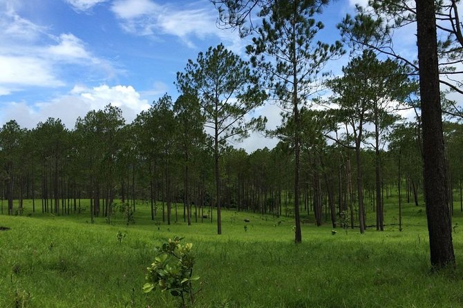 Kirirom National Park Private Day Tour from Phnom Penh - The 30-Minute Walk to Chambok Waterfall